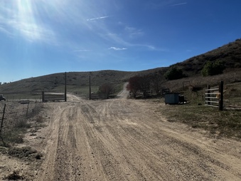 Female MC Ranch