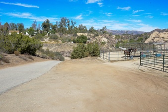 Enlarge photo 95