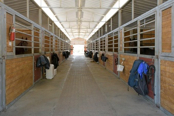 Enlarge photo 75