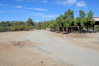 Enlarge photo 67