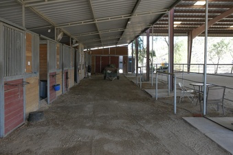 Enlarge photo 54