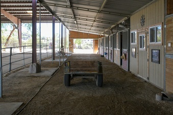 Enlarge photo 53
