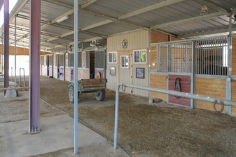 Enlarge photo 52