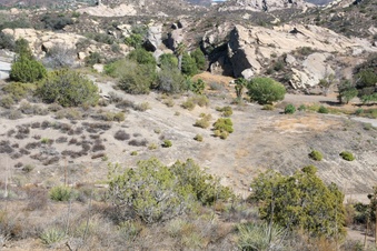 Enlarge photo 49