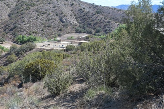 Enlarge photo 48