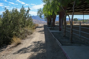 Enlarge photo 46