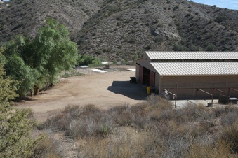 Enlarge photo 42