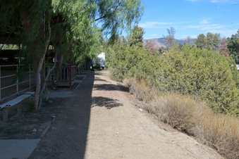 Enlarge photo 41