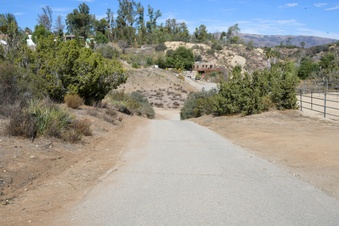 Enlarge photo 35