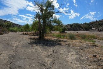 Enlarge photo 20