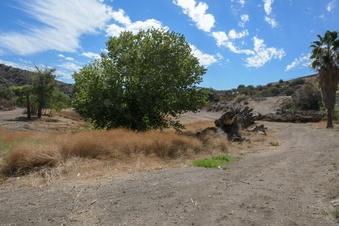 Enlarge photo 18