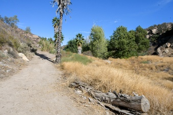 Enlarge photo 17