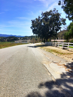 Enlarge photo 5