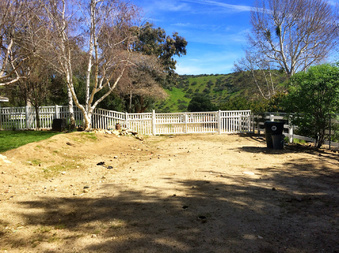 Enlarge photo 4