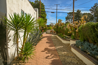 Enlarge photo 21