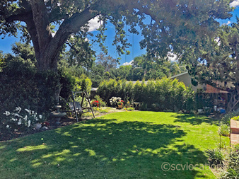Enlarge photo 20