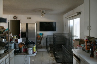 Enlarge photo 16