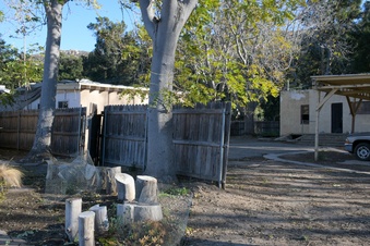 Enlarge photo 7