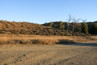 Enlarge photo 5