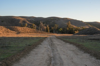 Enlarge photo 11