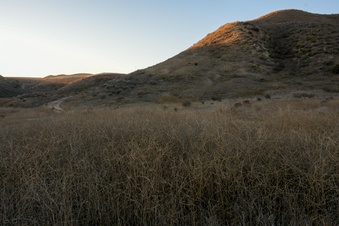 Enlarge photo 24