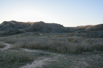 Enlarge photo 30