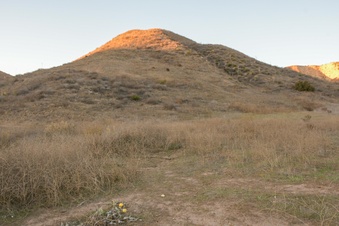 Enlarge photo 33