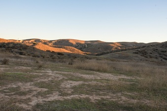 Enlarge photo 35