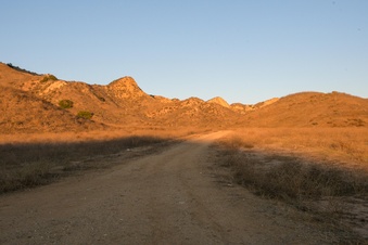 Enlarge photo 38