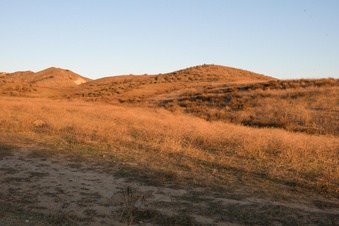 Enlarge photo 39
