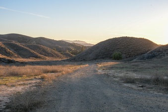 Enlarge photo 41