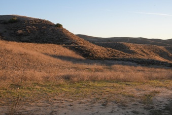 Enlarge photo 42