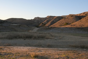 Enlarge photo 44