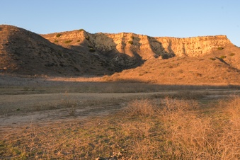 Enlarge photo 45