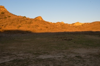 Enlarge photo 47
