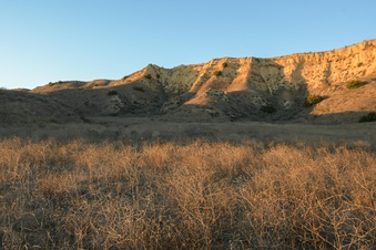 Enlarge photo 52