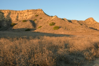 Enlarge photo 53