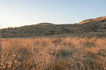 Enlarge photo 54