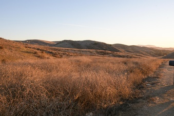 Enlarge photo 56