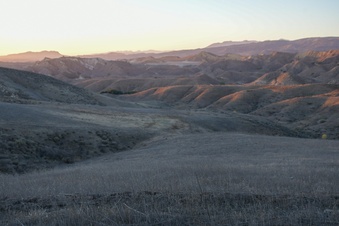 Enlarge photo 58