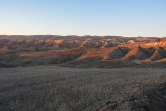 Enlarge photo 63