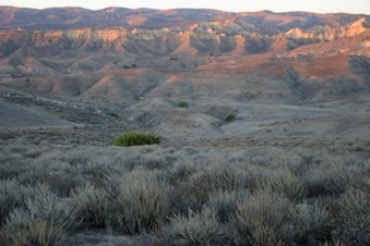 Enlarge photo 67