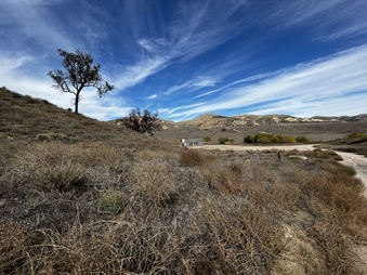 Enlarge photo 17