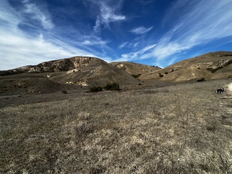 Enlarge photo 18