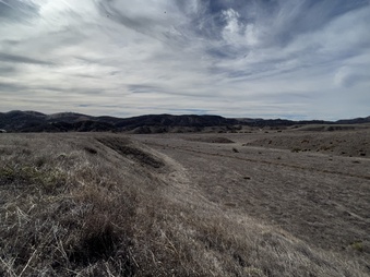 Enlarge photo 22