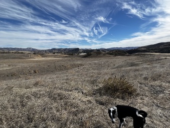 Big sky north mesa loop 2