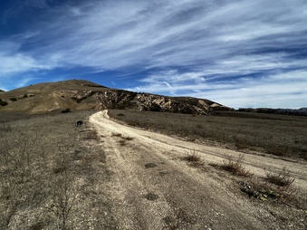 Enlarge photo 17