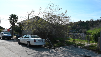 Enlarge photo 14