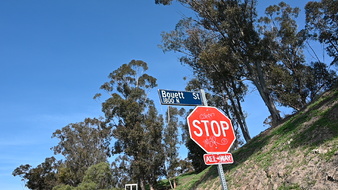 Enlarge photo 23