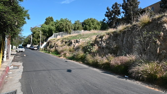 Enlarge photo 24